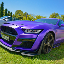 Mustang találkozó az Igali-Gyógyfürdőben