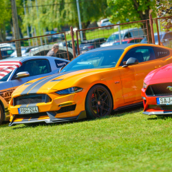Mustang találkozó az Igali-Gyógyfürdőben