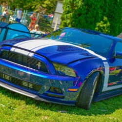 Mustang találkozó az Igali-Gyógyfürdőben