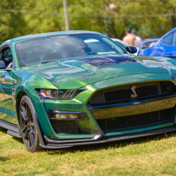 Mustang találkozó az Igali-Gyógyfürdőben